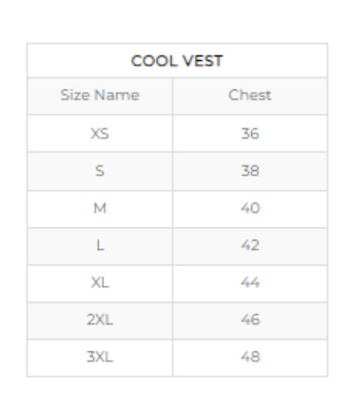 98 Fahren Cool Vest Neo – Super Evaporative Cooling Vest – Charcol Grey ₹3,999